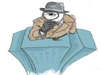平山区取证公司解说第三者承担离婚赔偿责任吗